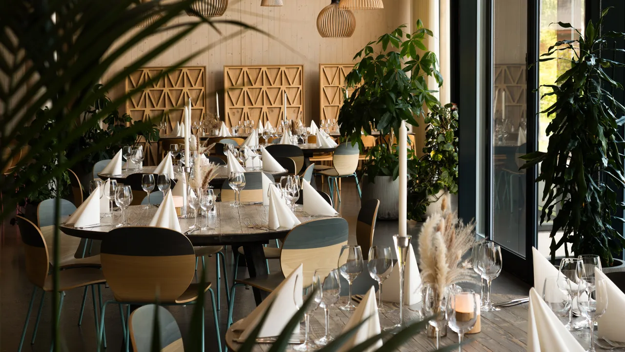 Restaurant halvnær med vindu og grønne planter
