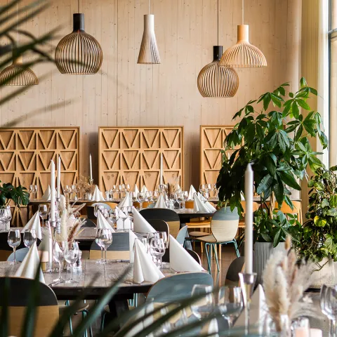 restaurant total med planter sQ